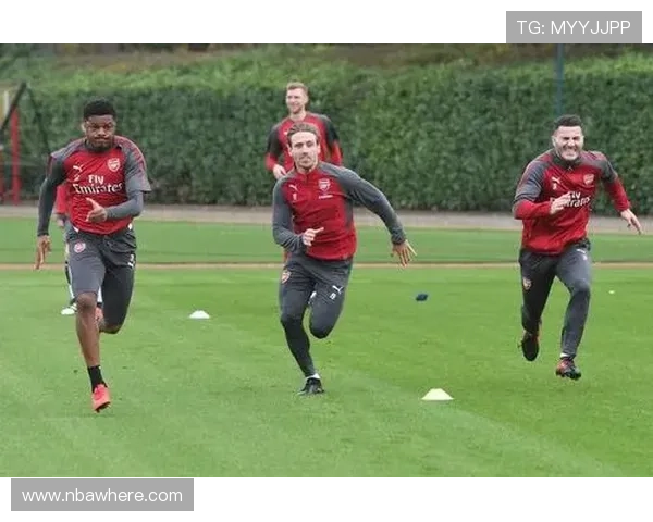 畅玩开云体育网页版，尽享实时赛事直播与互动体验