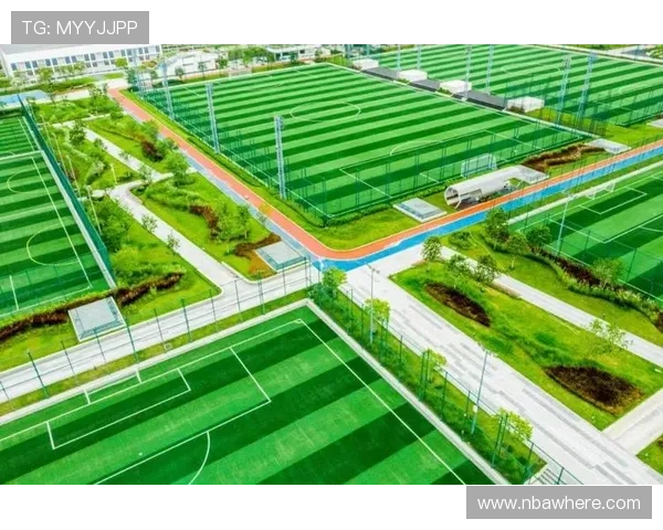 解析凯发体育下载地址背后的技术支持与更新策略