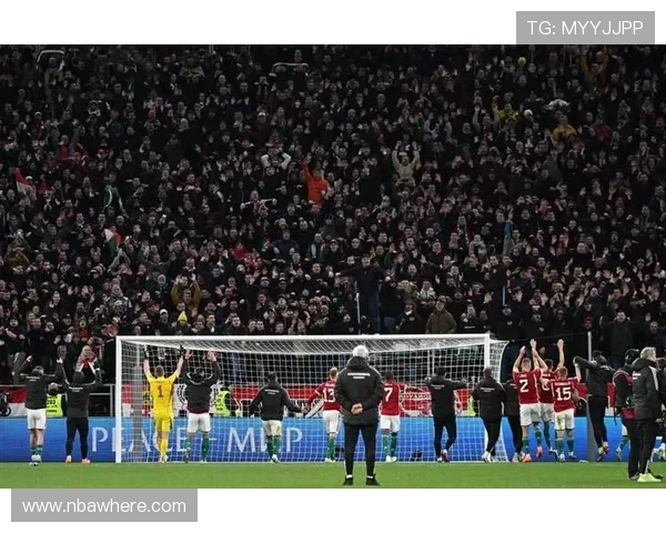 v站体育网页版优化加载速度，确保用户流畅观看每一场精彩比赛