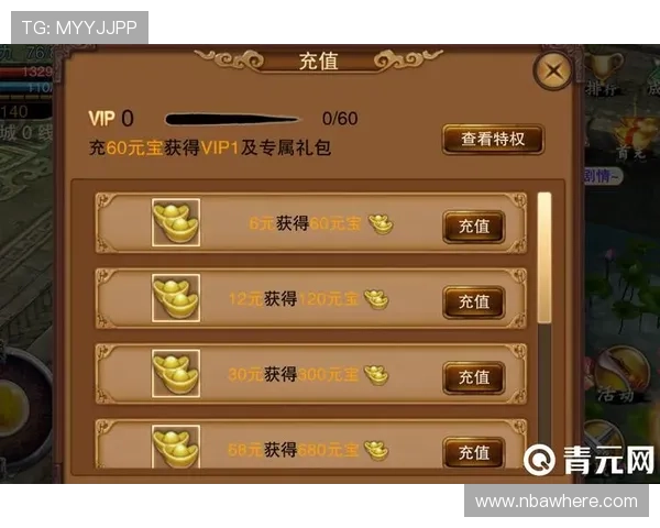 盛世VIP系统全面解析，如何快速提升你的游戏等级与专属福利